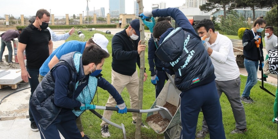 Aerobika gimnastikası üzrə dünya çempionatı ərəfəsində ağacəkmə aksiyası keçirilib (Foto)