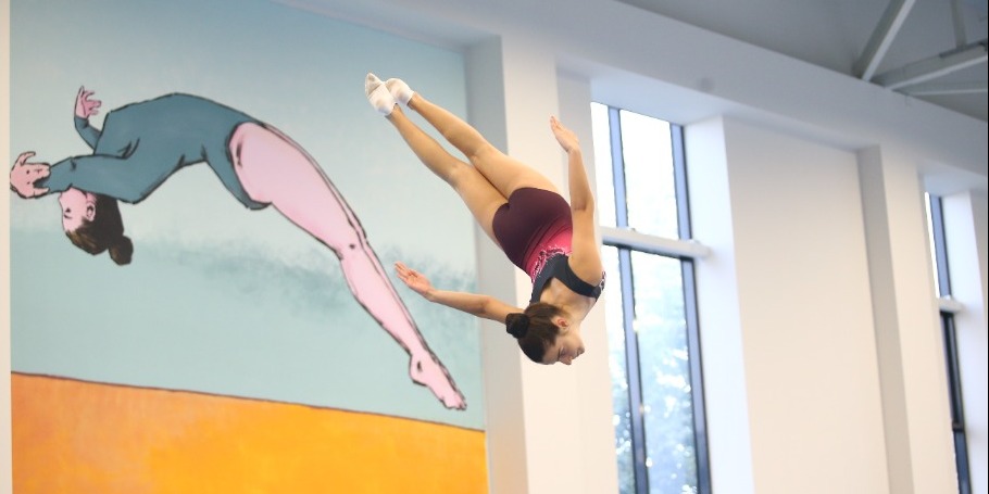 Batut gimnastikası və tamblinq üzrə ölkə birinciliyi keçirilib