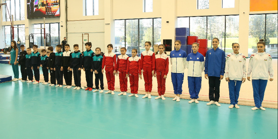 The exciting competition among female and male Artistic Gymnasts comes to an end