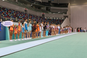 Sports festival at the National Gymnastics Arena