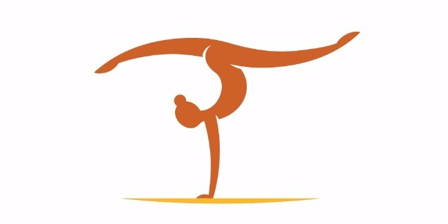 Azerbaijani judges successfully finish FIG courses