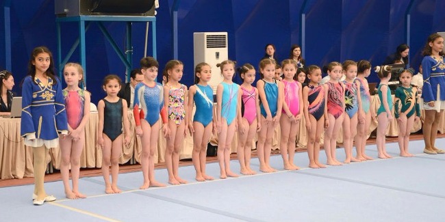 The winners were determined among female gymnasts