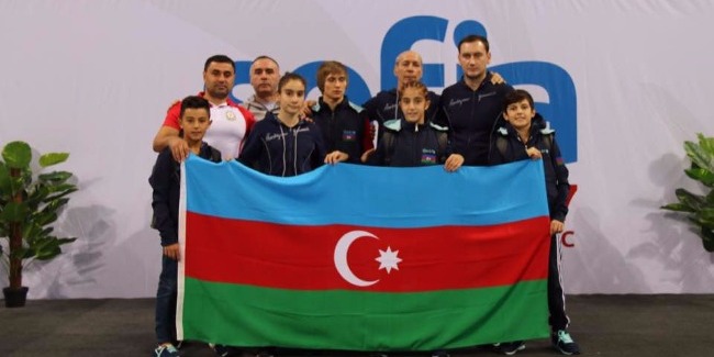 Mixail Malkinin tarixi qızıl medalı