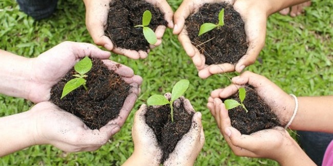 AGF organizes tree planting campaign